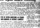 Article Image Alt Text