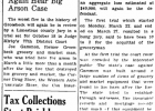 Article Image Alt Text