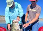 Five Top 25 bass have been reeled in at Lake O.H. Ivie in the last three years. Shawn Strength’s 16.65 pounder caught in November 2023 is the most recent. It’s ranked No. 14. (Photos courtesy Dalton Smith) Article Image Alt Text